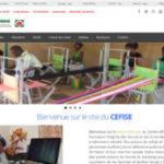 CEFISE-300×189