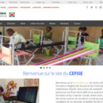 CEFISE-300×300