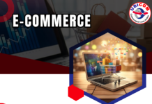 Rubrique « Zoom sur… » : Le E-Commerce